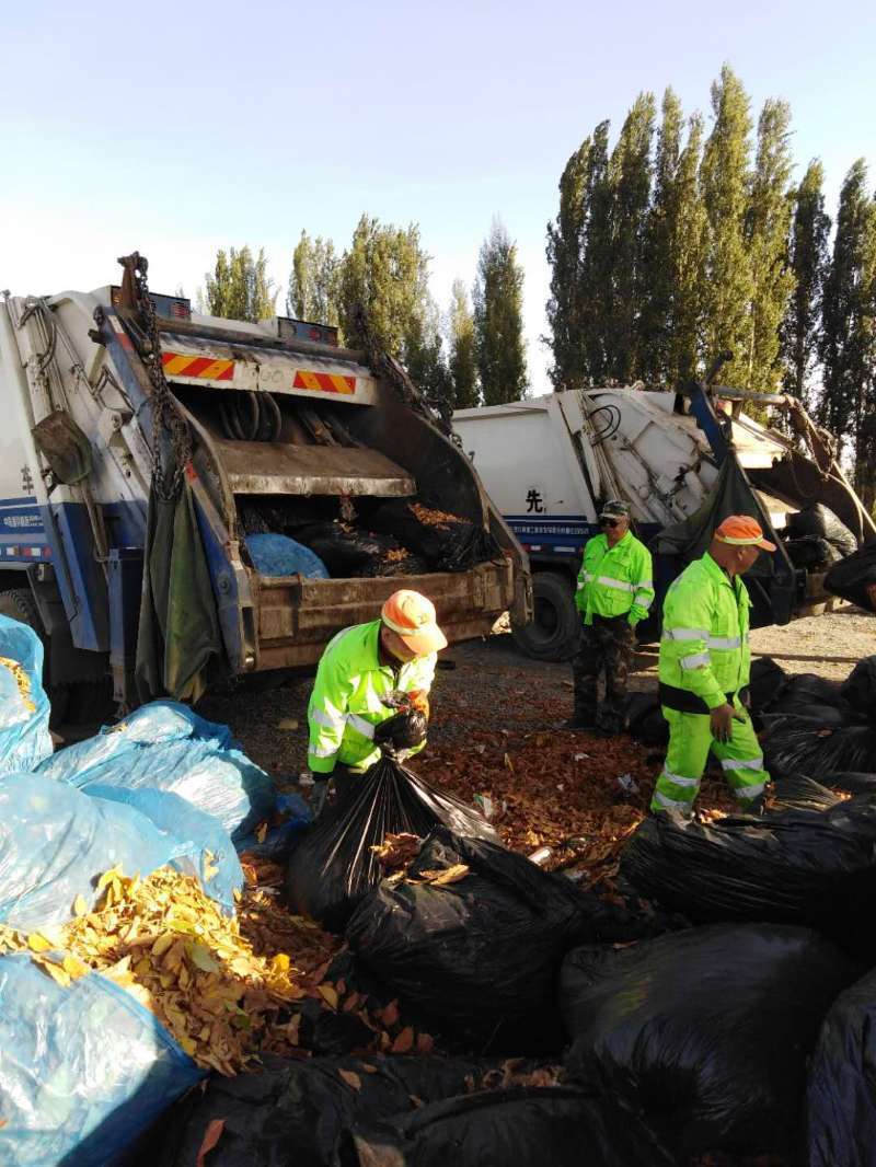 凈化城市環境 喜迎元旦佳節