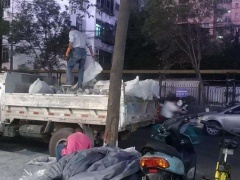 蚌埠垃圾清運 城市脈絡的清潔衛士